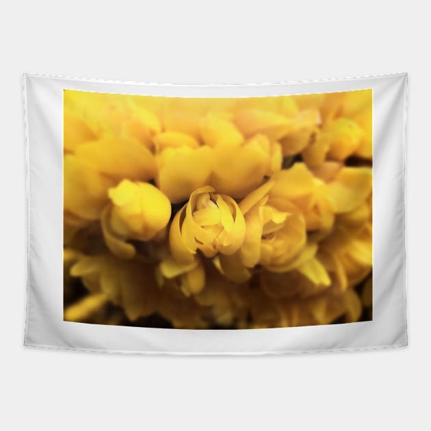 Gorse Bush Flowers (Ulex europaeus) Tapestry by Ludwig Wagner