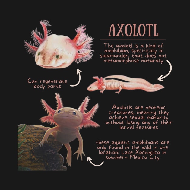 Animal Facts - Axolotl by Animal Facts and Trivias