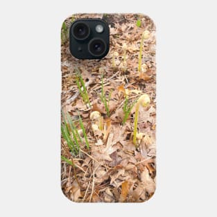 Fiddleheads Phone Case