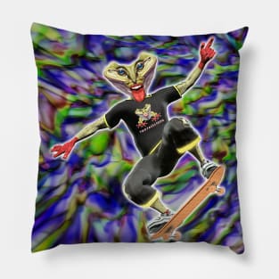Two Faces Frog On Skateboard color Pillow