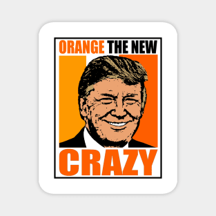 ORANGE THE NEW CRAZY Magnet