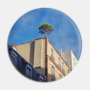 Pine tree on the top of a building Pin