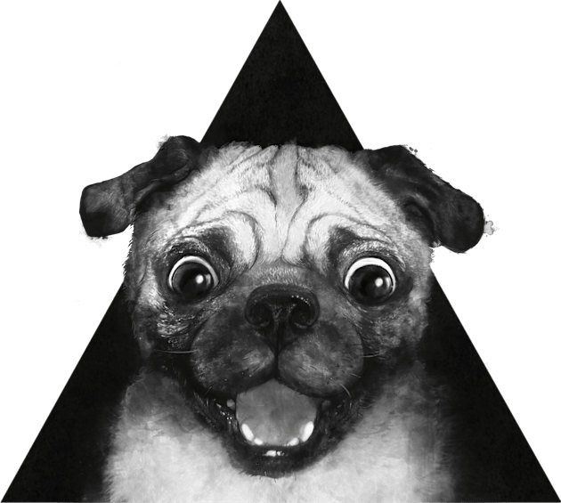 Pug Kids T-Shirt by LauraGraves