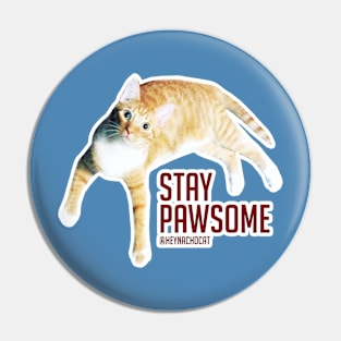 Stay Pawsome Pin