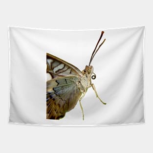 Question Mark Butterfly 2 Tapestry