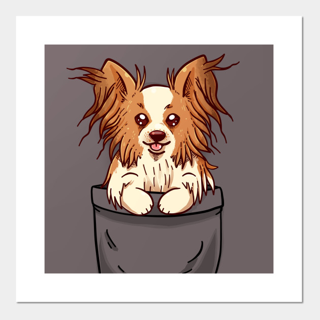 Pocket Cute Papillon Puppy