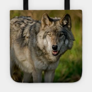 Timber Wolf Tote