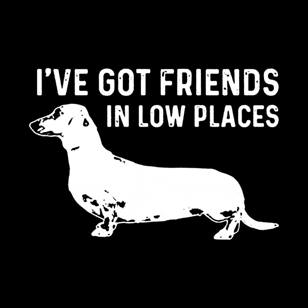 I've Got Friends in Low Places by jeremiepistrefreelance