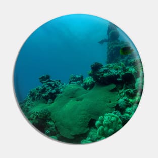 Coral reef and scuba diver Pin