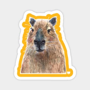 Pedro Capybara Magnet