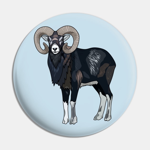 Mouflon sheep cartoon illustration Pin by Miss Cartoon