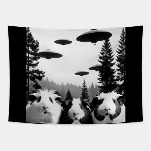 Funny Guinea Pig with Alien UFO Spaceship. Guinea Pig lover Tapestry