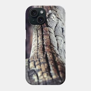 Log burned in stones bonfire Phone Case