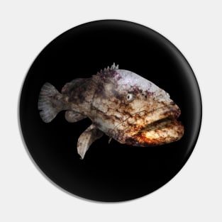 Galaxy Grouper Pin