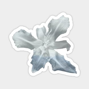 Icy Flower Magnet