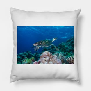 Hawksbill Sea Turtle on the Great Barrier Reef Pillow