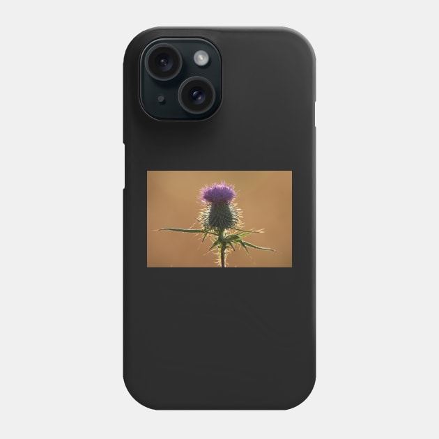 Thistle Phone Case by orcadia