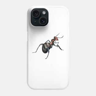 odorous ant Phone Case