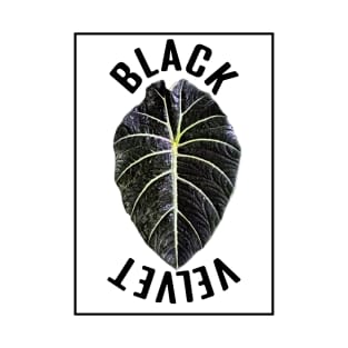 Alocasia Black Velvet T-Shirt