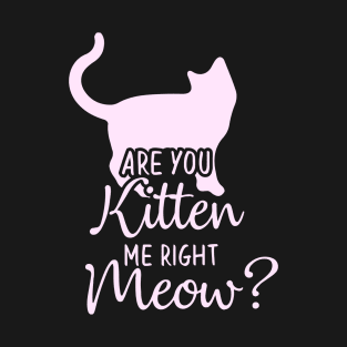 Funny Cat Phrase, Are You Kitten Me Meow T-Shirt