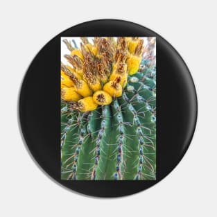 Barrel Cactus Pin