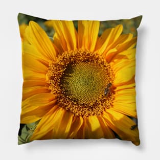 Bee on Sunflower Pillow