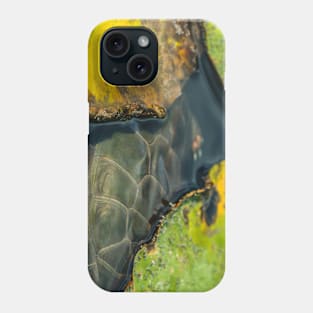 Turtle Shells and Lily Pads Photograph Phone Case