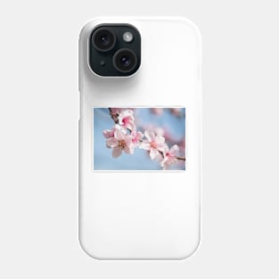 Cherry Blossom II Phone Case