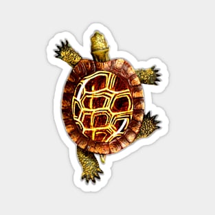 Turtle Magnet