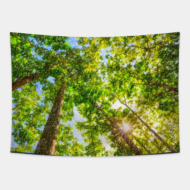 Sun Shining Through A Vibrant Leafy Forest Tapestry by Earthworx