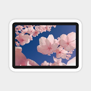 Cherry Blossom Illustration Magnet