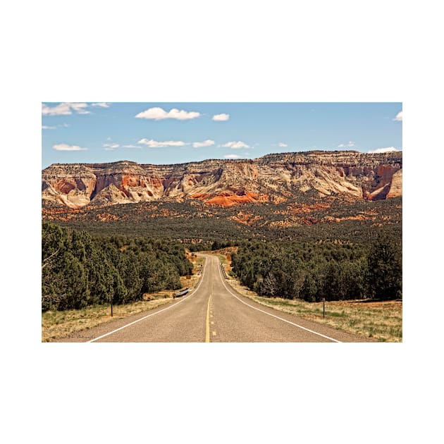 Scenic Bi-Way 12 - The Road To Red Canyon © by PrinceJohn