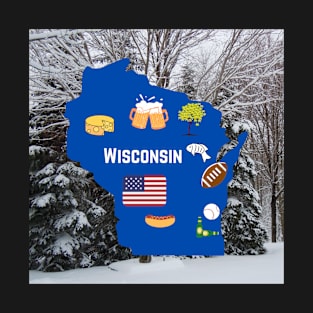 Wisconsin a Great Place by a Great Lake T-Shirt