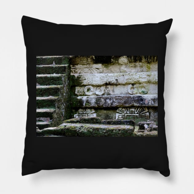 Guatemala - site archéologique de Tikal Pillow by franck380