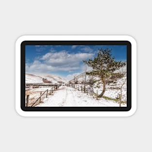 Coquet Valley - Wintertime Magnet