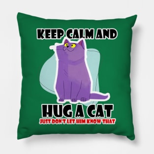 Hug a Cat Pillow