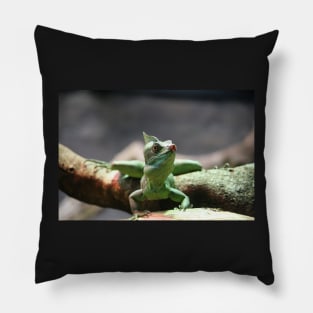 Double-Crested Basilisk Pillow