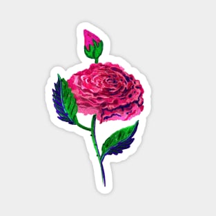 Rose oil Magnet