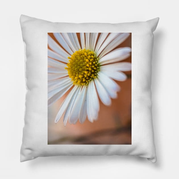 Daisies Pillow by Noamdelf06