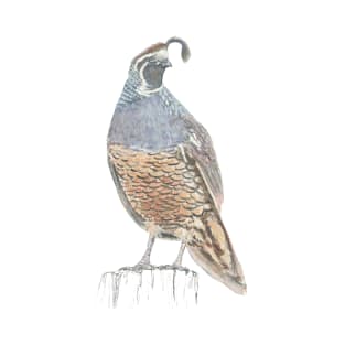 Quail T-Shirt