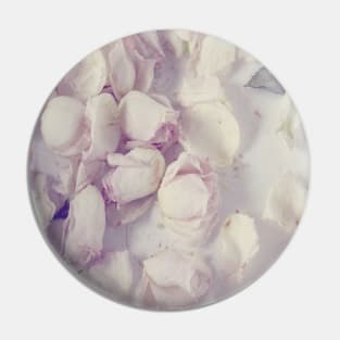 A sea of roses Pin