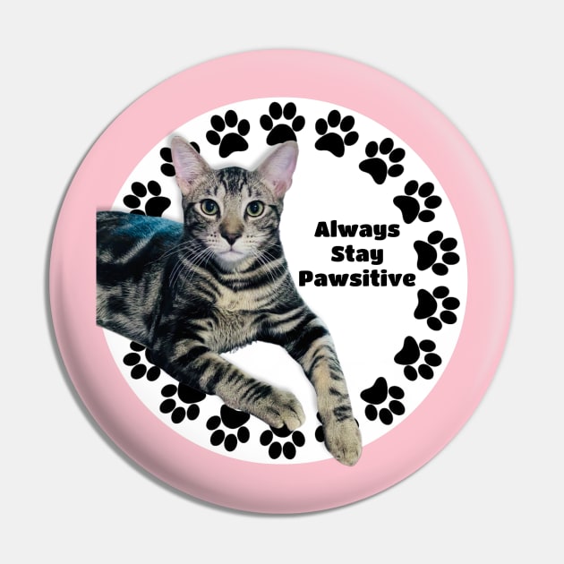 Always Stay Positive Grey Cat Pin by Long-N-Short-Shop