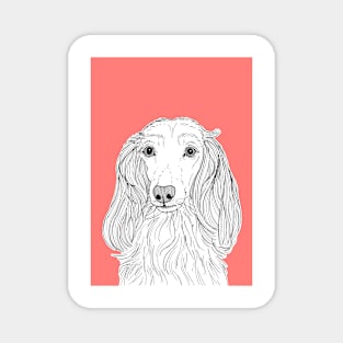 Long Haired Dachshund Portrait Magnet