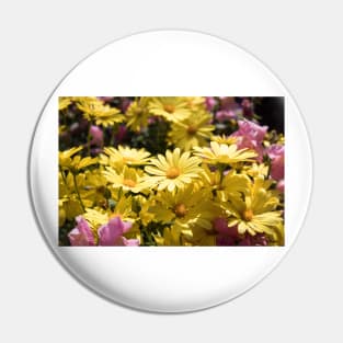 Spring Yellows Pin