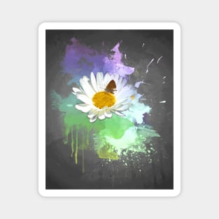 Daisy in bloom Magnet