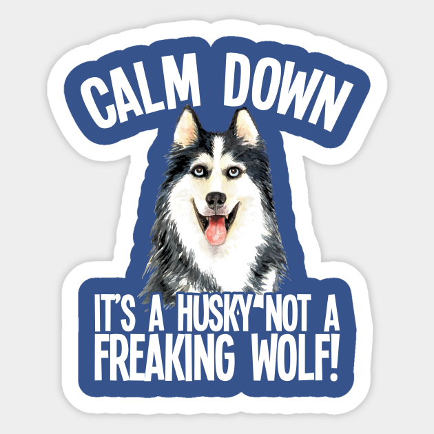 how to calm a husky down