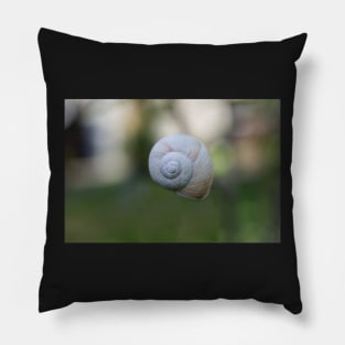 Snail shell in the middle of nature Pillow