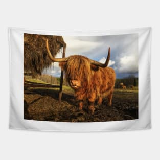 Scottish Highland Cattle Cow 2150 Tapestry