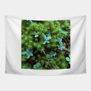 wild strawberry patch Tapestry