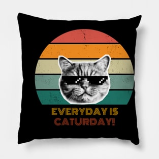 Everyday is Caturday! Pillow